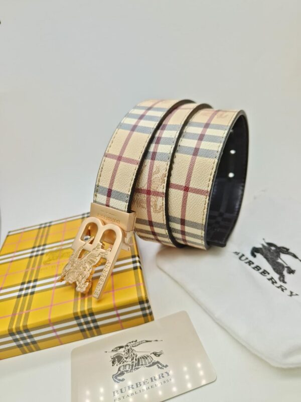 BIG BRANDS MENS WALLETS AND BELTS (VISIBLE IN IMAGE